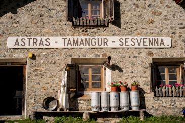 Die Alp Astras-Tamangur. Bild: Dominik Täuber.