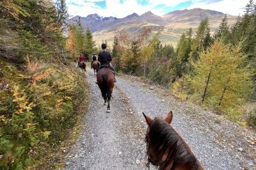 Ausritte in die Unterengadiner Natur.
