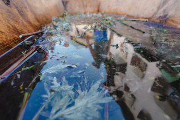 Engadiner Kräuter-Fussbad