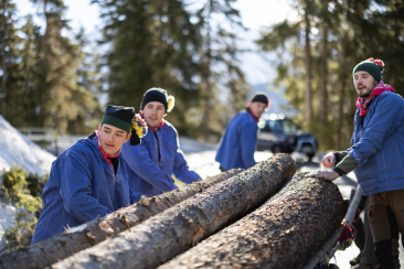Schueschaiver_Ftan_2024_Holzfaellen_Dominik_Taeuber