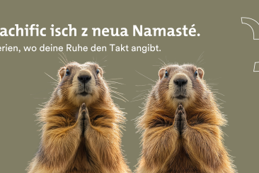 Visual der Sommerkampagne 2024