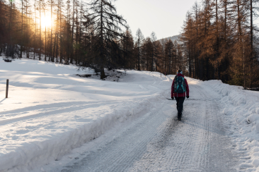 Via Engiadina Winter zwischen Susch und Zernez in schneebedeckter Landschaft