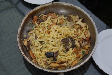 Pilzwanderung mit kulinarischem Höhepunkt