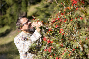 Story Curdin Tones, Dominik Täuber