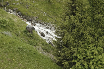 Sommerkampagne_Bergbach_Sesseli_Ftan