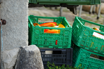 Gemüse Lieferung, Café ajüz
