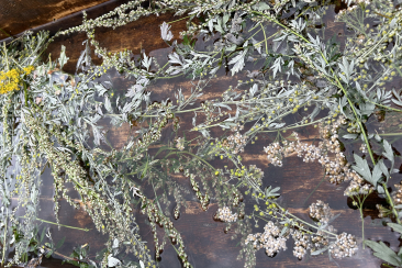 Kräuter-Fussbad am Brunnen Plaz