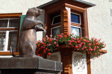 Foto-OL-Sommer im Unterengadin-Posten 1