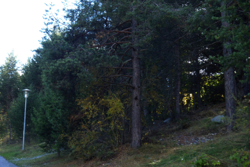 Foto-OL-Sommer im Unterengadin-Posten 1