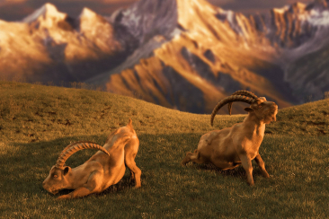 Mach's besser mit Gian & Giachen