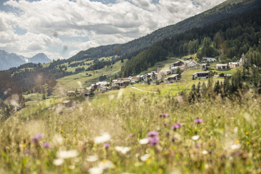 Blick auf Tschlin im Unterengadin mit dem Dorf auf einer sonnigen Hangwiese. Im Vordergrund blühen Wildblumen, dahinter liegen Wiesen, Wälder und die Alpenberge unter einem leicht bewölkten Himmel.