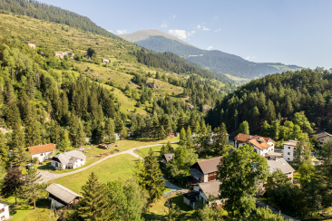 Blick auf Sur En im Unterengadin mit einzelnen Häusern und Höfen in einer grünen Tal­landschaft. Umgeben von Wiesen, Nadelwäldern und sanften Berghängen unter blauem Himmel.