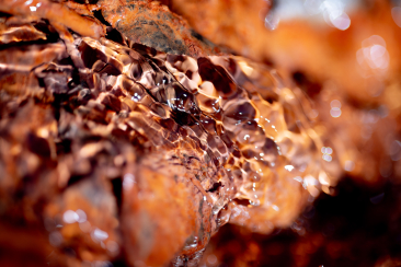Mineralwassequelle