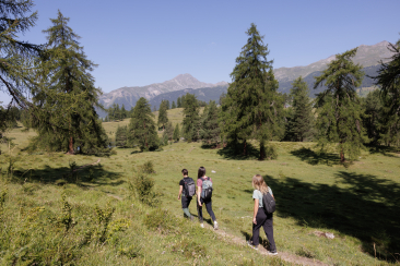 Gesundheitswälder im Engadin