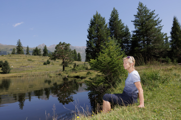 Gesundheitswälder im Engadin