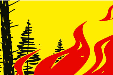 Waldbrandgefahr