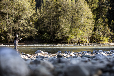 Fliegenfischen am Inn