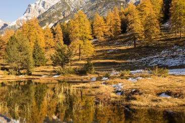 Der Herbst am kleinen Bergsee Lai Nair, oberhalb von Tarasp, im Unterengadin. Bild: Dominik Täuber