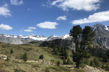 Wanderung zum Munt la Schera im Schweizerischen Nationalpark