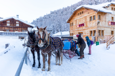 Pferdeschlittenfahrt nach S-charl – ©Thalia Wünsche, Chur