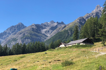 Alp Laisch im Unterengadin