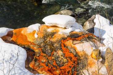 Mineralwasser am Inn. Die Quelle Bonifacius. Foto: © Dominik Täuber