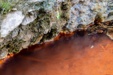Mineralwasser der Fuschna-Quelle – Mineralwasserwege Scuol – Dominik Täuber
