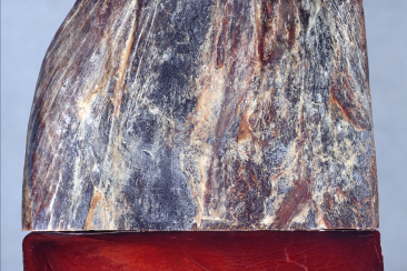 Hatecke Trockenfleisch