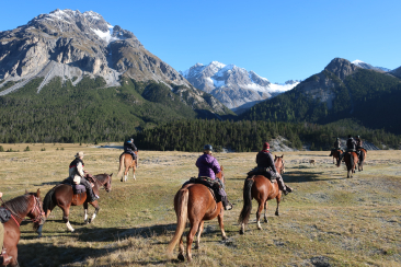 Pferdetrekking im Engadin