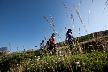 Warzenbeisserweg in Engadin Scuol Zernez
