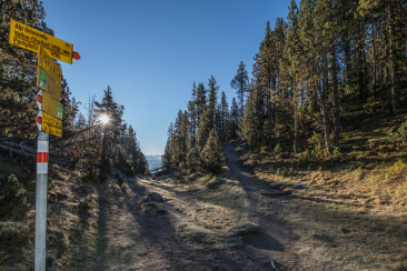 Wanderungen auf dem Themenweg Champlönch