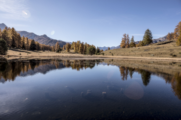 Herbst im Unterengadin am Lai Nair oberhalb von Tarasp.