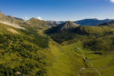 God Tamangur – Arvenwald – Engadin Scuol Zernez – Dominik Täuber