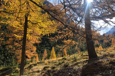 Herbstwanderung_Val_Plavna_Unterengadin