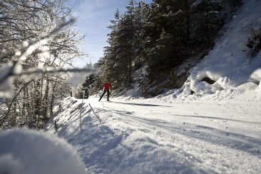 Langlaufen bei bestem Wetter