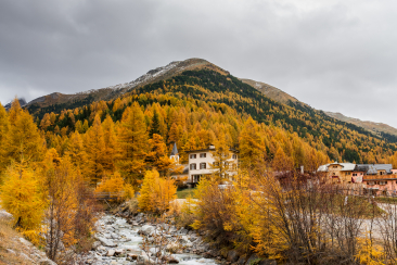S-charl im Herbst. Bild: Dominik Täuber.